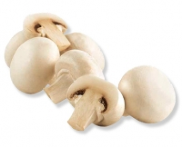 Champignons weiss