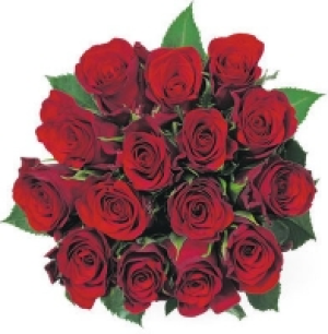 Rosen, Fairtrade CHF 14.90