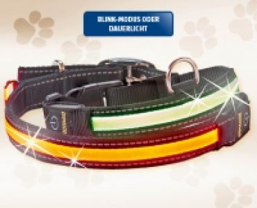 ROMEO LED-Hundehalsband CHF 9.99