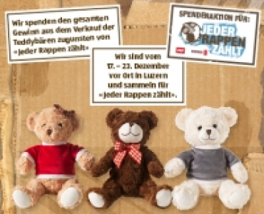 Jeder Rappen zählt-Teddybär