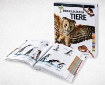 Bildwörterbuch/-lexikon CHF 11.99