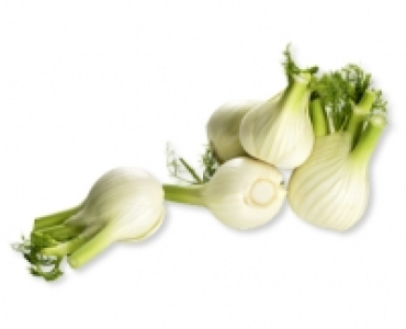 Fenchel CHF 1.19