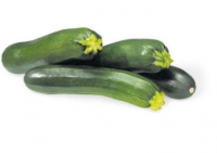 Zucchetti CHF 2.30