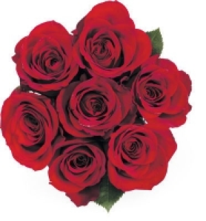 Rosen, Fairtrade CHF 14.90