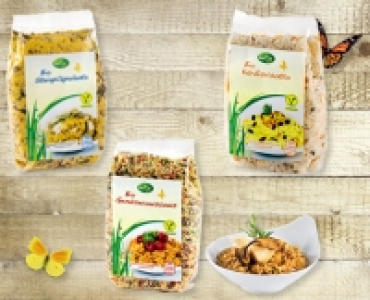 NATUR AKTIV BIO Vegetarisches Bio-Gericht