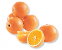Aldi Suisse  Bio-Orangen