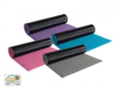 Fitnessmatte CHF 7.99