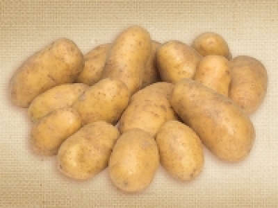 Bio-Kartoffeln CHF 1.49