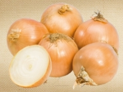 Bio-Zwiebeln CHF 1.79