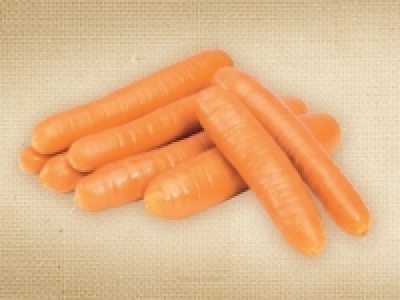 Bio-Ru&Igrave;&circ;ebli