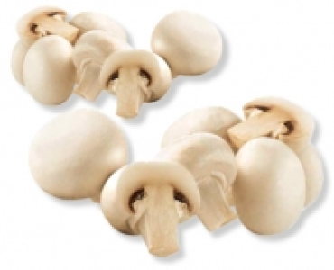Champignons/Champignons gross
