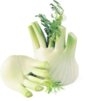 Fenchel CHF 2.20
