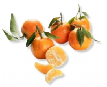 Blattclementinen CHF 1.99