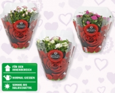 Rosenschale in bedruckter Tüte