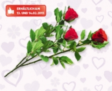 Valentinsrose