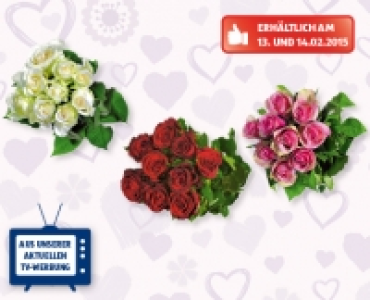 FAIRTRADE Max Havelaar Valentins-Langstielrosen