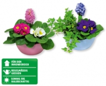 Frühlingsschale