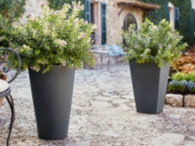 Pflanztopf CHF&nbsp;17.99