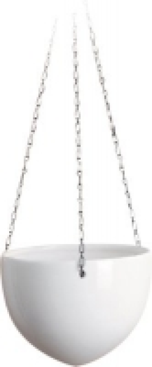 Pflanzenampel CHF 18.30