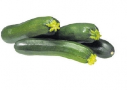 Zucchetti CHF 3.95
