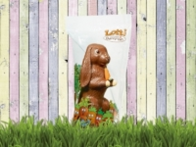 Hase Lotti
