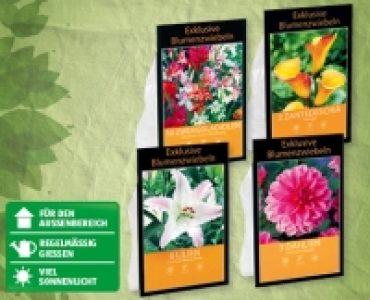 GARDENLINE® Exklusive Blumenzwiebeln