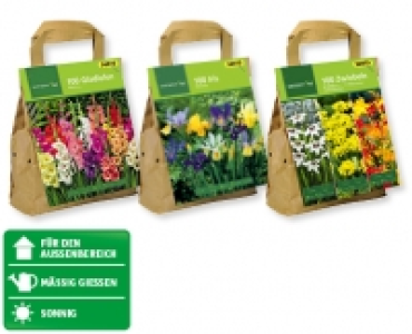 GARDENLINE® Blumenzwiebeln CHF 3.99