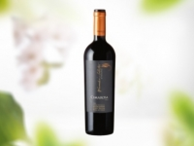 Chile Winemaker Gold Selection