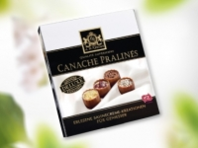 Canache Pralines