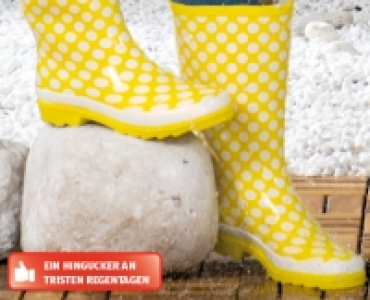 BLUE MOTION Damen-Regenstiefel CHF&nbsp;14.99