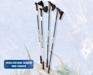 ADVENTURIDGE® Nordic Walking-Stöcke CHF 19.99