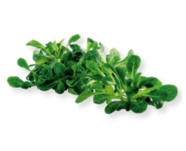 Nüsslisalat