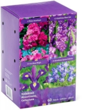 Blumenzwiebelkollektion