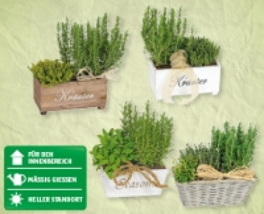Kräuterkisten und Körbe CHF 9.99