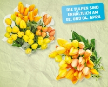 Französische Tulpen CHF 7.99
