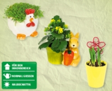 Bepflanzte Osterkeramik