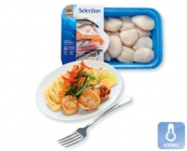 ALMARE SEAFOOD MSC Tiefseescallops