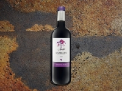 Lapillus Ribera del Duero D.O. Joven