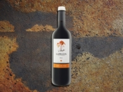 Lapillus Ribera del Duero D.O. Roble