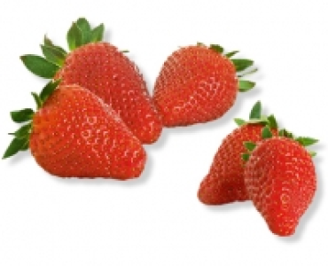 Erdbeeren CHF 2.99