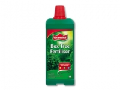 Buchsbaumdu&Igrave;&circ;nger