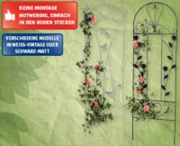 GARDENLINE® Metall-Rankspalier CHF 8.99