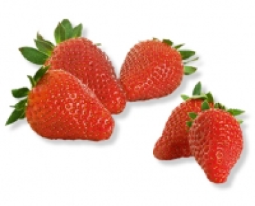 Premium Erdbeeren CHF 1.49