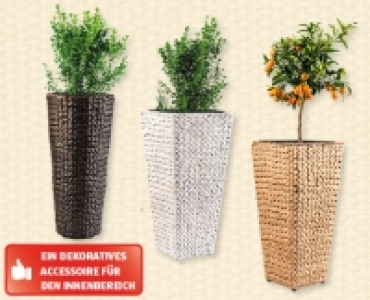GARDENLINE® Pflanzengefäss aus Wasserhyazinthen-Geflecht