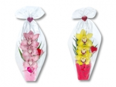 Orchideen 3er Gesteck CHF&nbsp;5.99