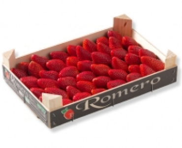 Premium Erdbeeren CHF 2.99
