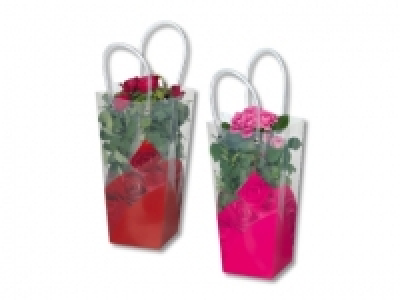 Topfrosen in Henkeltasche CHF 4.99