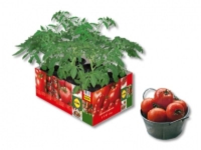 Tomatenmix CHF&nbsp;4.99