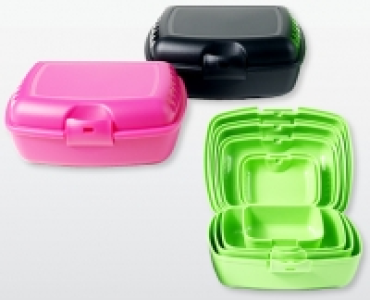 CROFTON® Znüni/Zvieri-Boxen, 4er-Set