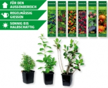 GARDENLINE&reg; Obstmix